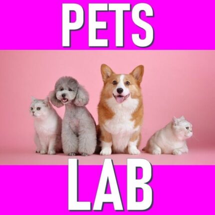 Start Your New Product Project (Pet)