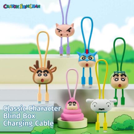 Crayon Shinchan Charging Cable Type-C to C Blind Box